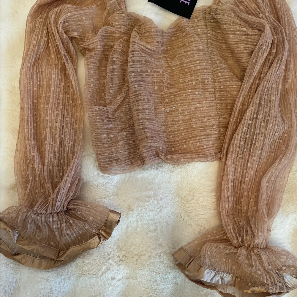 Elegant Tan Sheer Blouse